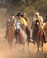 Horse Safari in Thar Desert - 15 days