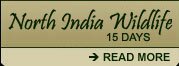 Indian Wildlife Tours, Indian Wildlife Safaris, Indian Wildlife Travel Packages, Indian Wildlife Tour Travel Itinerary