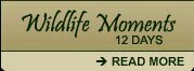 Indian Wildlife Tours, Indian Wildlife Safaris, Indian Wildlife Travel Packages, Indian Wildlife Tour Travel Itinerary