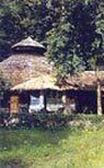 Chitwan Jungle Lodge - Indian Wildlife Resorts & Lodges in Royal Chitwan National Park