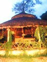 Camp Forktail Creek - Indian Wildlife Resorts & Lodges in Jim Corbett National Park