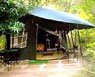 Ken River Lodge - Indian Wildlife Resorts & Lodges in Panna National Park