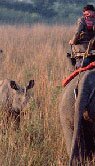 About Kaziranga Wildlife National Park, Sanctuary & Tiger Reserve