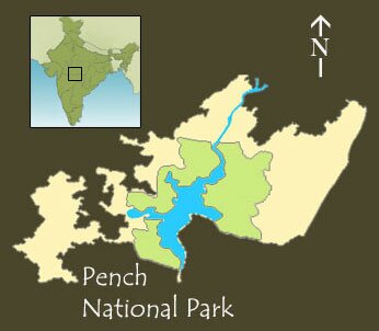 Pench Wildlife National Park, Sanctuary & Tiger Reserve, best time to visit, park timings, charges, how to get Pench, important tips information, Map of Pench Wildlife National Park