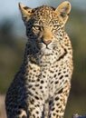 Wildlife Moments - Indian Wildlife Packages, Travel Safari & Tour Packages