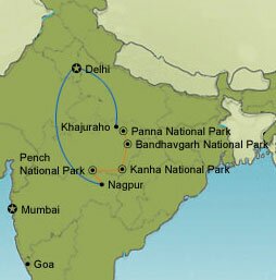 Exclusive Indian wildlife - 14 days