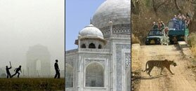 Wildlife Moments - Indian Wildlife Packages, Travel Safari & Tour Packages