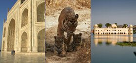 Wildlife Moments - Indian Wildlife Packages, Travel Safari & Tour Packages
