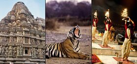 Wildlife Moments - Indian Wildlife Packages, Travel Safari & Tour Packages